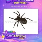 Free Brown Recluse Free Spider Web Silhouette Crawl Free SVG - Instant Download