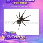 Free Detailed Spider Web Silhouette Free Halloween Decoration Free SVG 2 - Instant Download