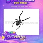Free Silhouette Spider Free Web Detail Halloween Free SVG 3 - Instant Download