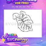 Free Detailed Leaf Stamp Free Intricate Veins Nature Free SVG - Instant Download