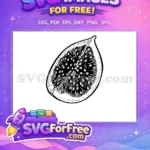 Free Black Fig Free Stamp Leaves Food Free SVG - Instant Download